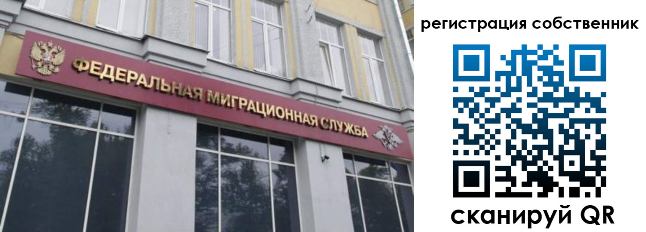 временная регистрация поиск в Ивантеевке